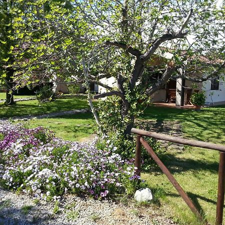 Willa Agriturismo Sicomoro Capalbio Zewnętrze zdjęcie