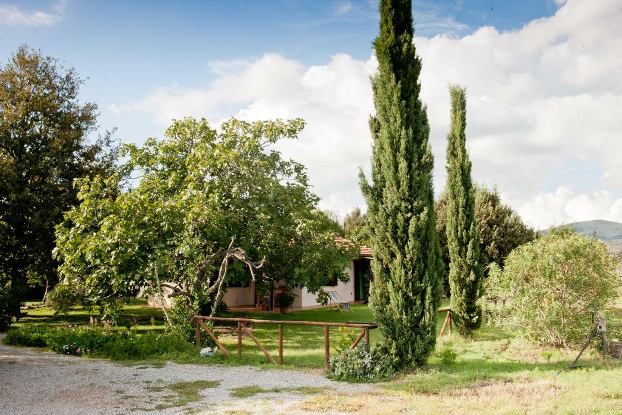 Willa Agriturismo Sicomoro Capalbio Zewnętrze zdjęcie
